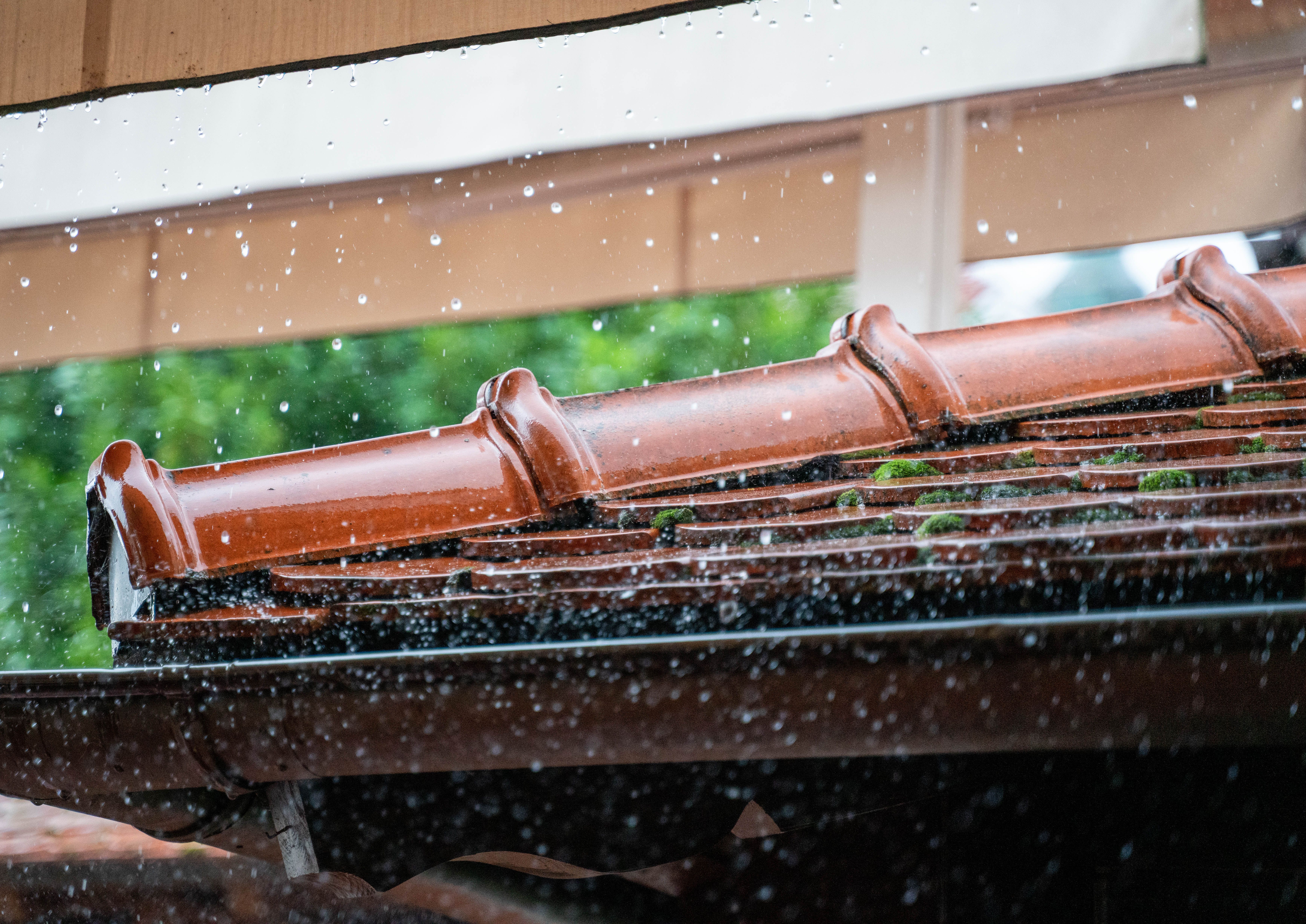 Roof After